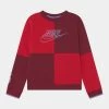 Nike Sportswear AMPLIFY CREW - Sweatshirt - Dark Beetroot/gym Red/light Thistle